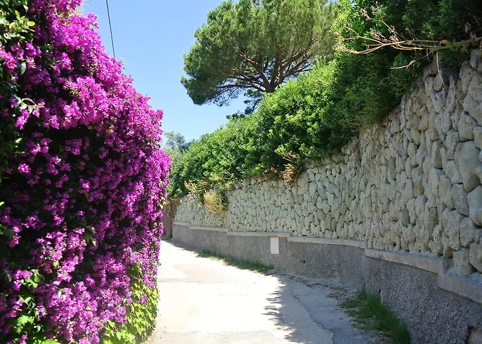 PARADISO TERME RESORT & SPA 4*