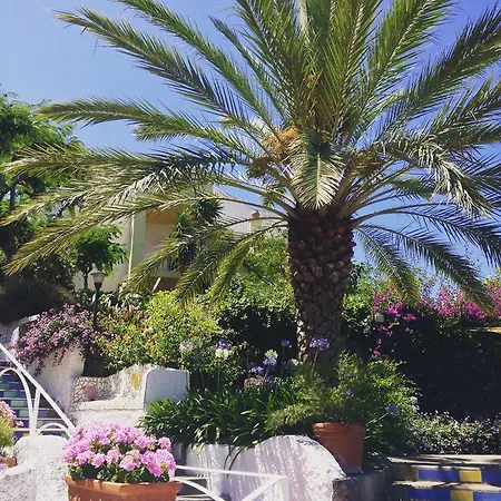 Hotel Paradiso Terme & Ischia