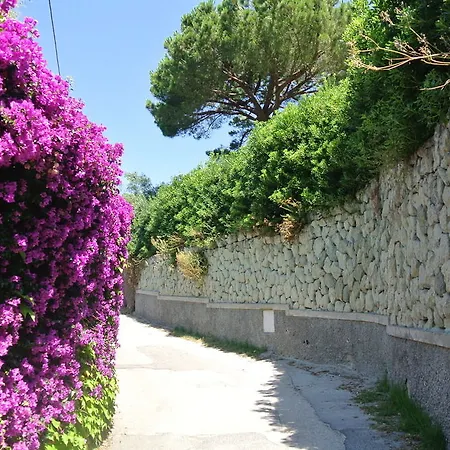 Paradiso Terme & 4*