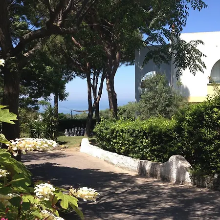 Hotel Paradiso Terme & Ischia